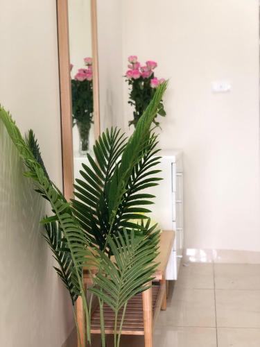 Apartamento Mon Homestay H? Long