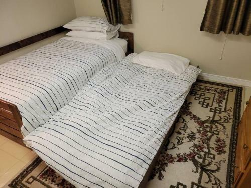 Apartamento Forest Hill Suite