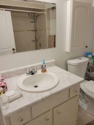 Apartamento Forest Hill Suite