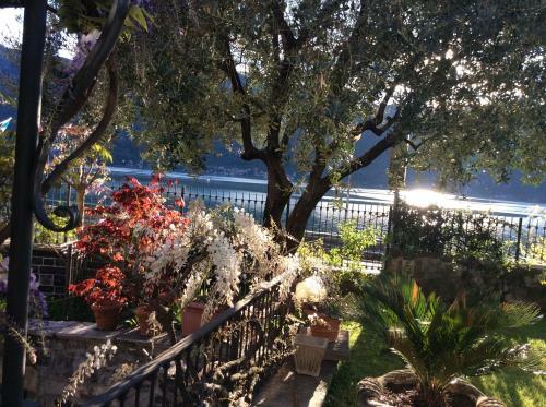 B&B - Foresteria - Frontelago Lake Como
