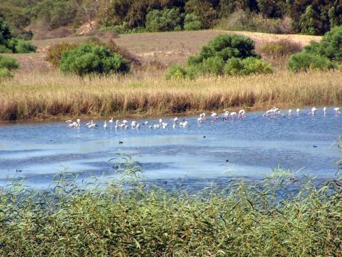 Apartamento R�sidence Fanti