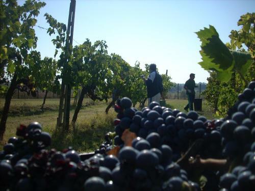 Casale Le Rote