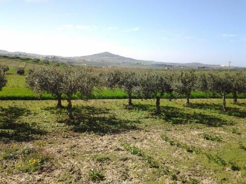 Apartamento Antico Casale Rosso