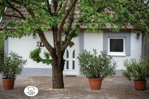 Frupi Apartman - A Kis H�z