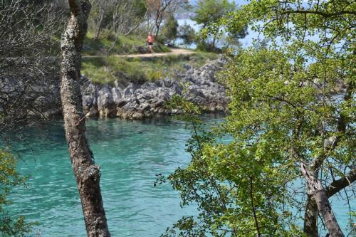Apartamento My Paradies - Njivice Studio****