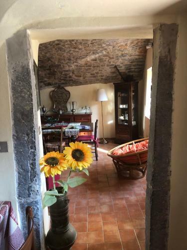 La Casa Del Bosco