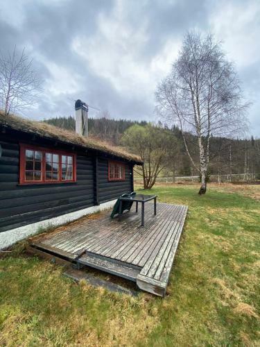 Morgedal Lavvo Camping