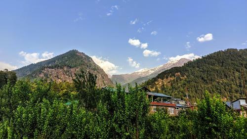 Shailom Backpackers Cum Homestay