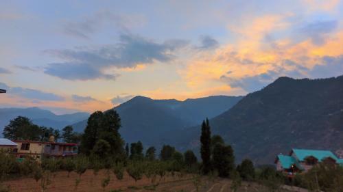 Shailom Backpackers Cum Homestay