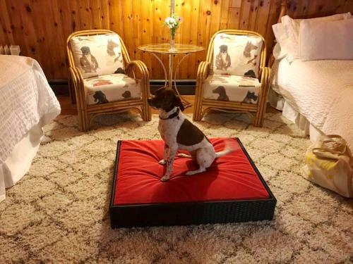 Fundy Heights B&B