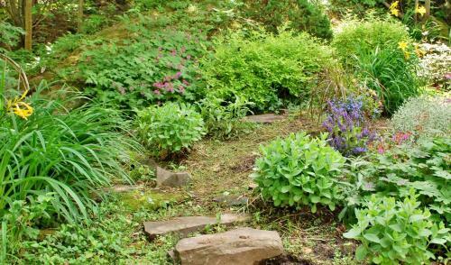 Fundy Heights B&B