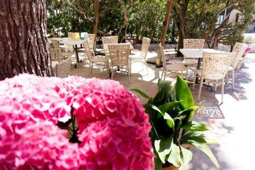 Hotel Sardi
