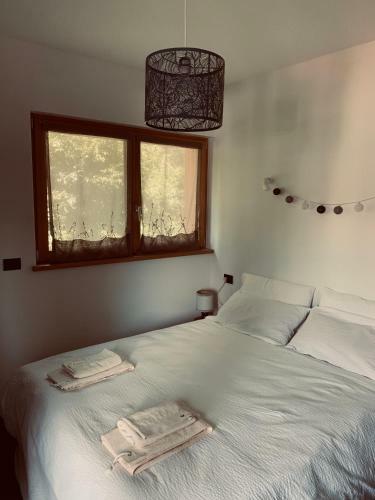 Appartamenti E B&B Casa Ester