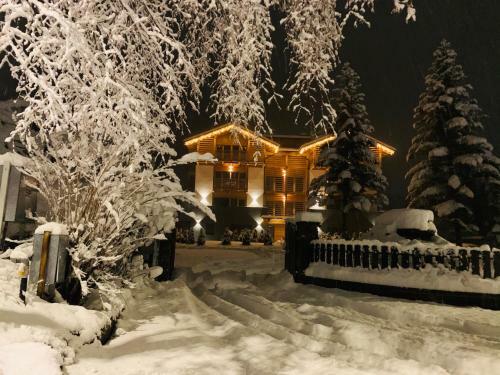 Appartamenti E B&B Casa Ester