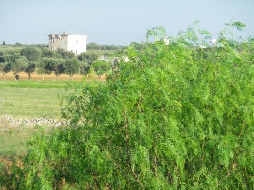 Agroturismo Casa Colonica Liliane