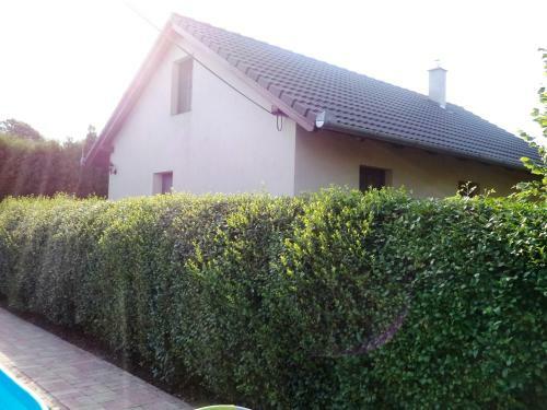 Kinga House