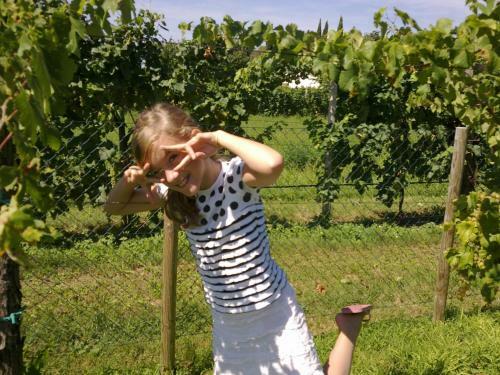B&B Terre Di Bea