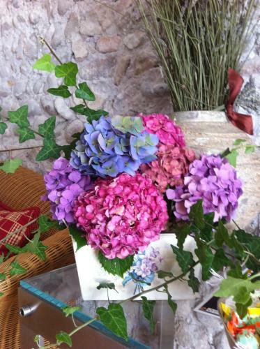 B&B Terre Di Bea