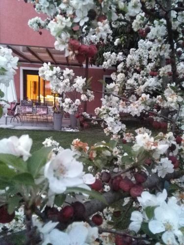 B&B Terre Di Bea