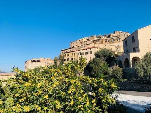 Maison Corse Enti�rement R�nov�e