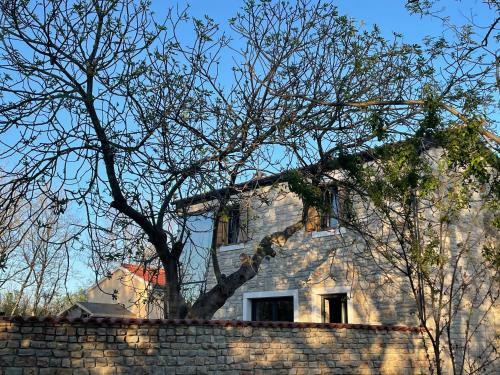 Villa Casa Giulia