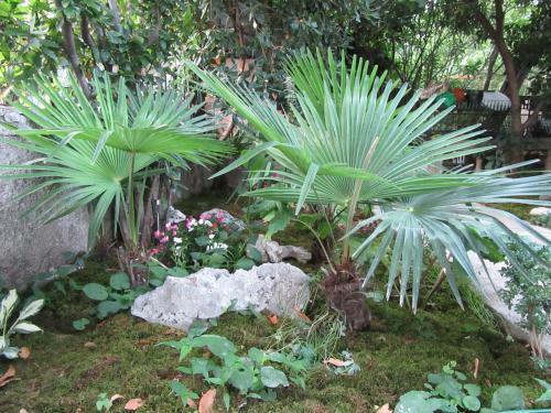 Apartman Romeo
