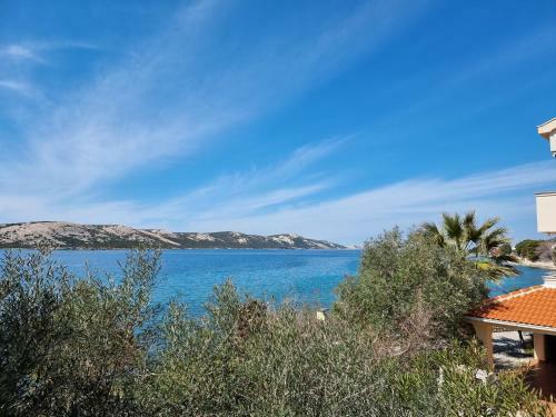 Apartamento Bellevue - Old Navalis