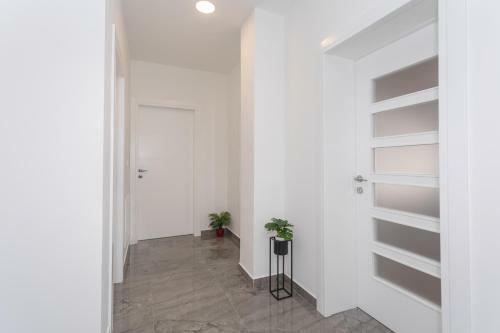 Apartamento Sea View/apartment Exclusive View