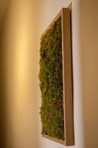 Apartamento Summer Me - Mirror Flat Corfu Old Town