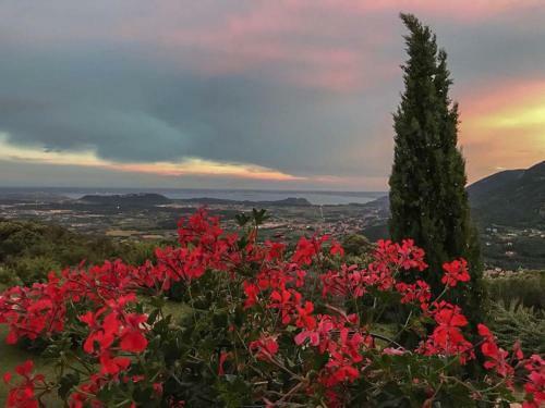 Villa Scala-panoramic Holiday House