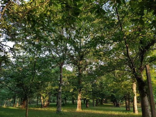 Rota Da Vila-quinta Das R�s