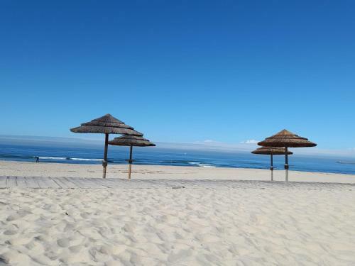 Apartamento Sonhosqrodopiam Praia Da Barra