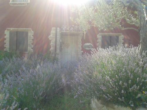 B&B Fonte Cugno