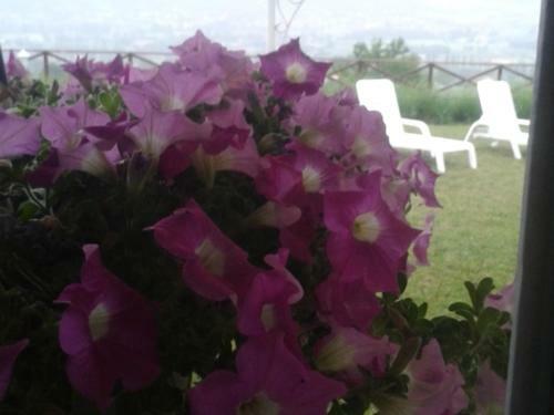 B&B Fonte Cugno