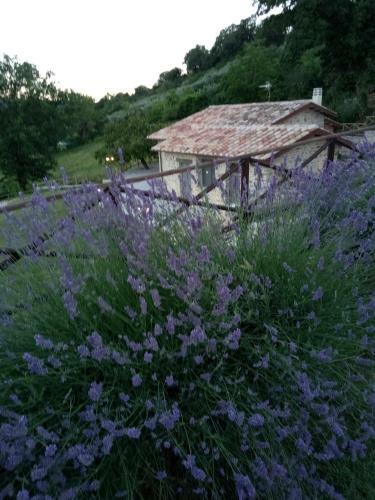 B&B Fonte Cugno