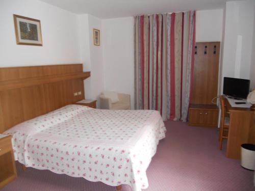 Hotel Albergo Alpino