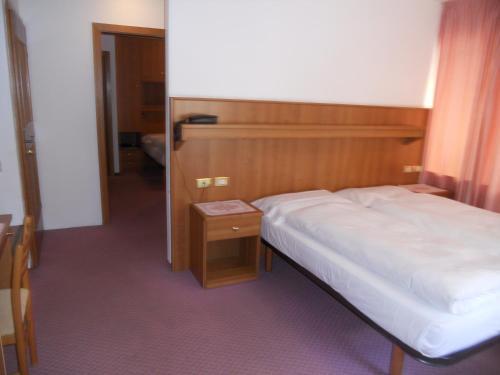 Hotel Albergo Alpino