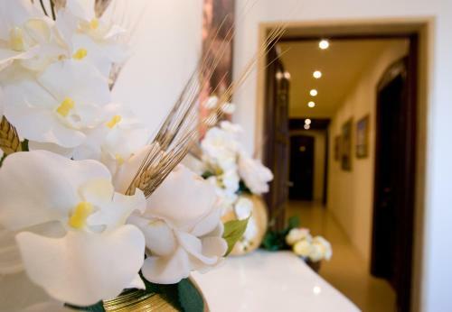 B&B La Casa Del Bal�