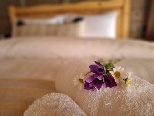Bed & Breakfast Amber Suites Akyaka