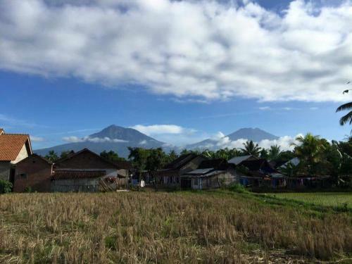 Ijen Kingdom Guest House