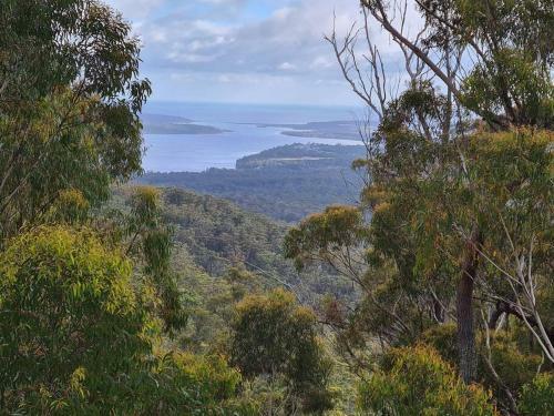 Paddy's Shack-the Ultimate Tassie Shack Experience