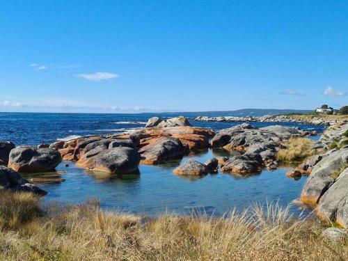 Paddy's Shack-the Ultimate Tassie Shack Experience