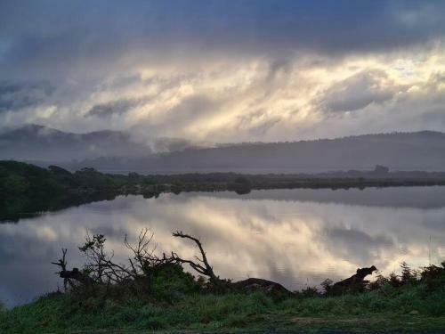 Paddy's Shack-the Ultimate Tassie Shack Experience