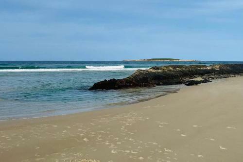 Paddy's Shack-the Ultimate Tassie Shack Experience