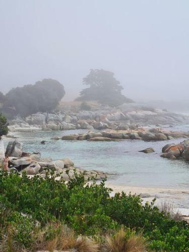 Paddy's Shack-the Ultimate Tassie Shack Experience