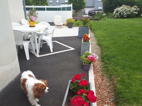 Bed & Breakfast Macareux