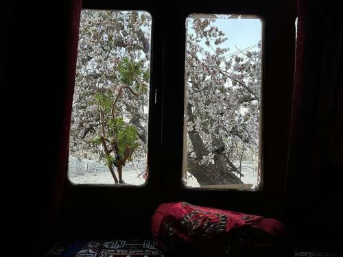 Hotel Kibo - Mikza Guest House