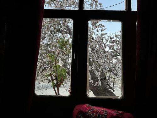 Hotel Kibo - Mikza Guest House