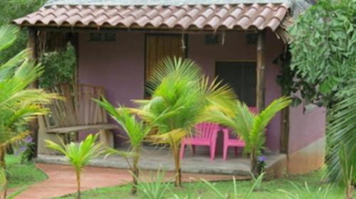 Bed & Breakfast Monkey Lodge Panama