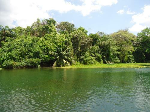 Bed & Breakfast Monkey Lodge Panama